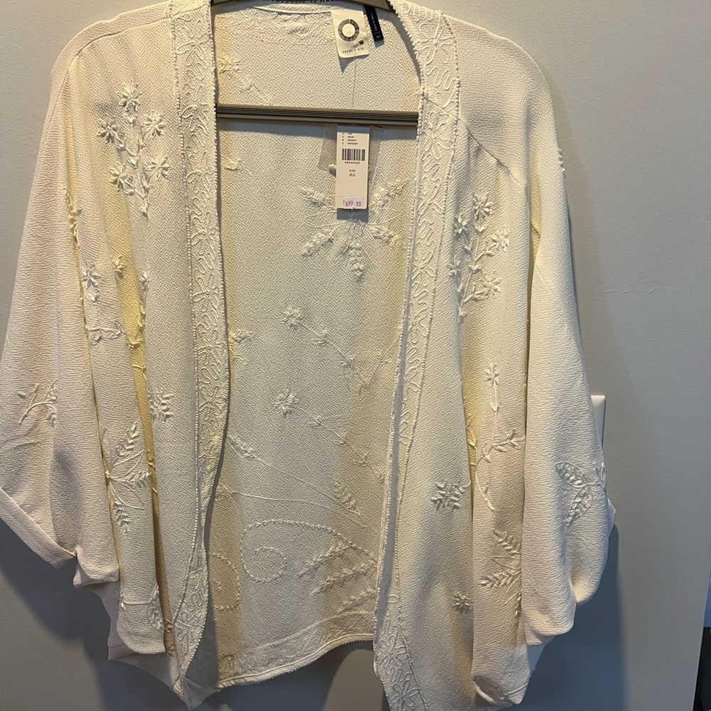 Silky Cream Embroidered Women's shawl